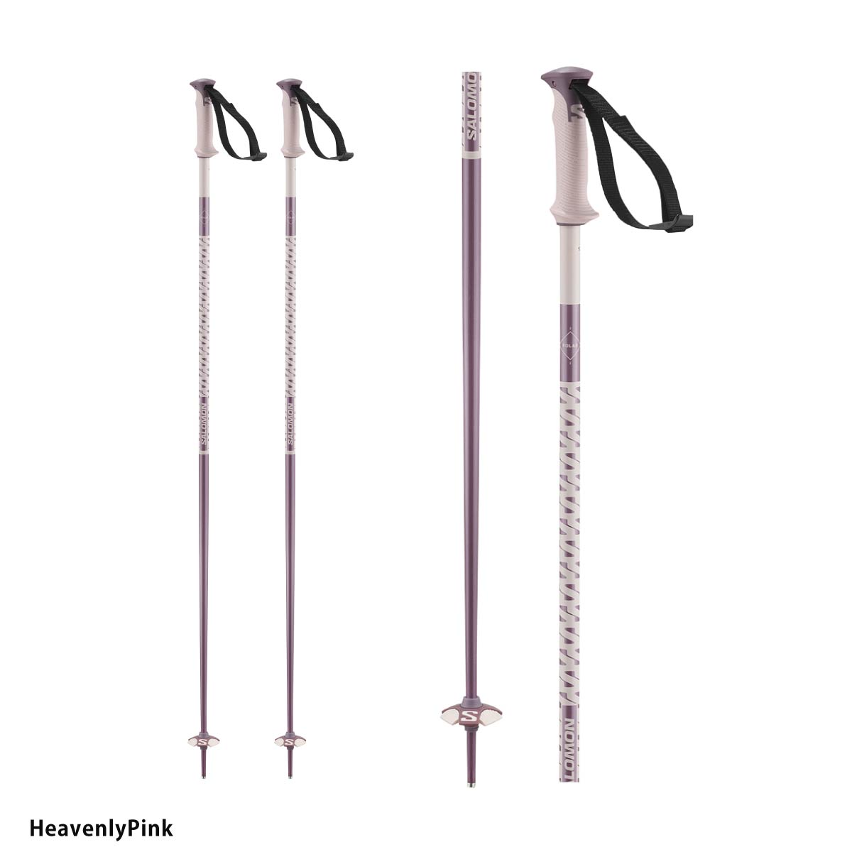 SALOMON（サロモン） 【5日限定！全品P10倍！】SALOMON スキー ポール