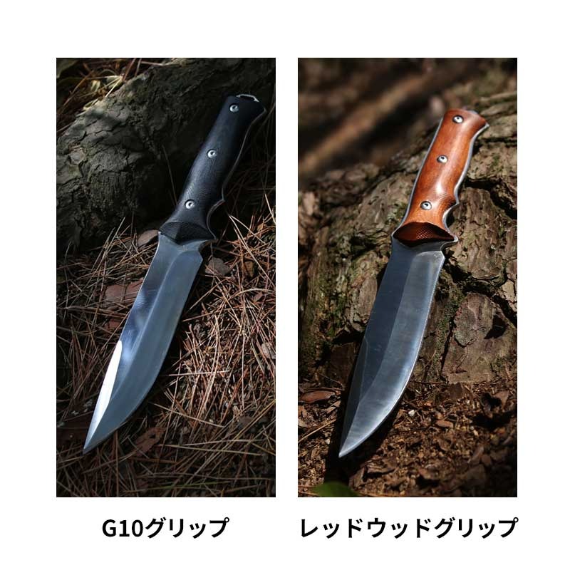 ダイワ 極鋭 カワハギ 1455（180）極鋭 チューンドバット1455付き