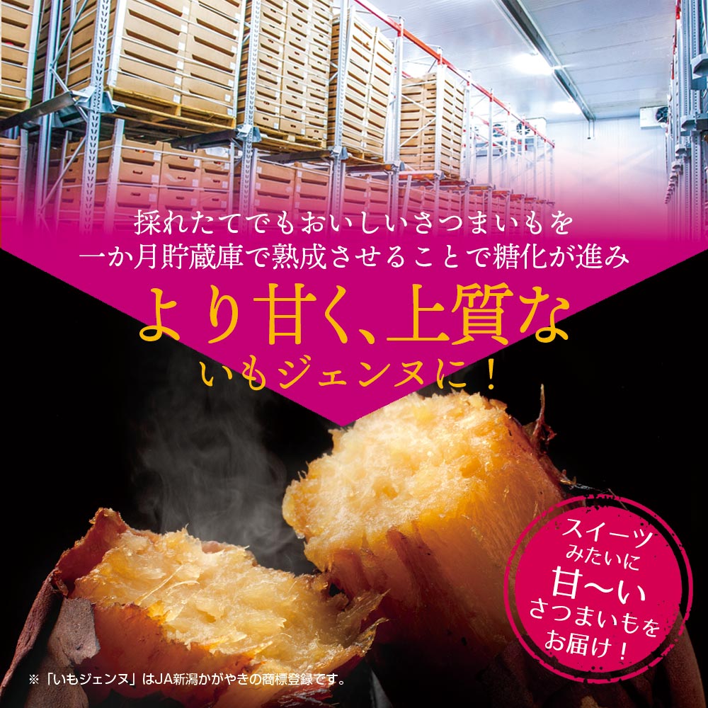 さつまいも さつま芋 薩摩芋 焼き芋 いも いもジェンヌ 新潟県産 1.5kg