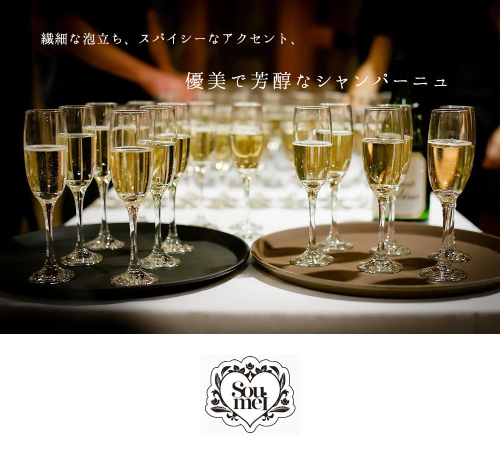 送料無料 正規品】【豪華アタッシュケース】ソウメイ ル セクス