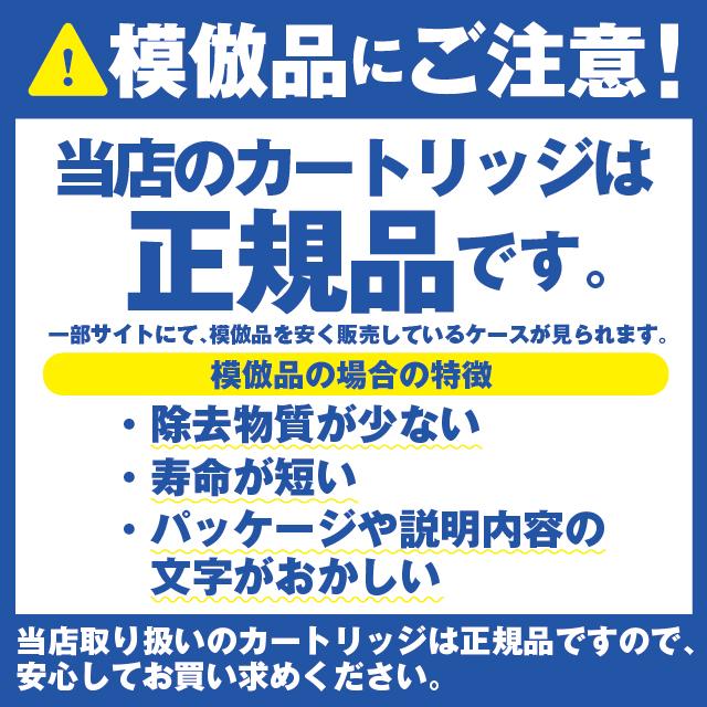 Panasonic（パナソニック） 【正規品】交換用カートリッジ