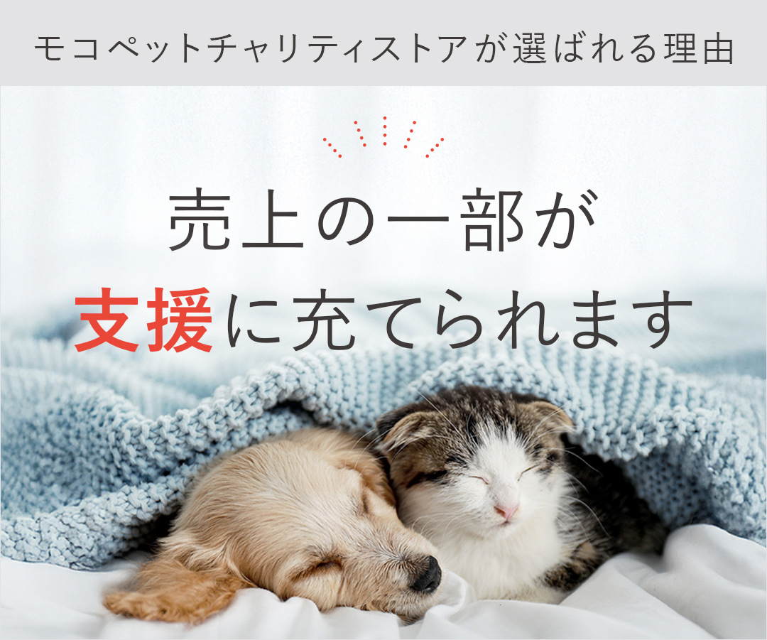 ロイヤルカナン（ROYAL CANIN） ミディアム パピー 4kg / 中型犬（成犬
