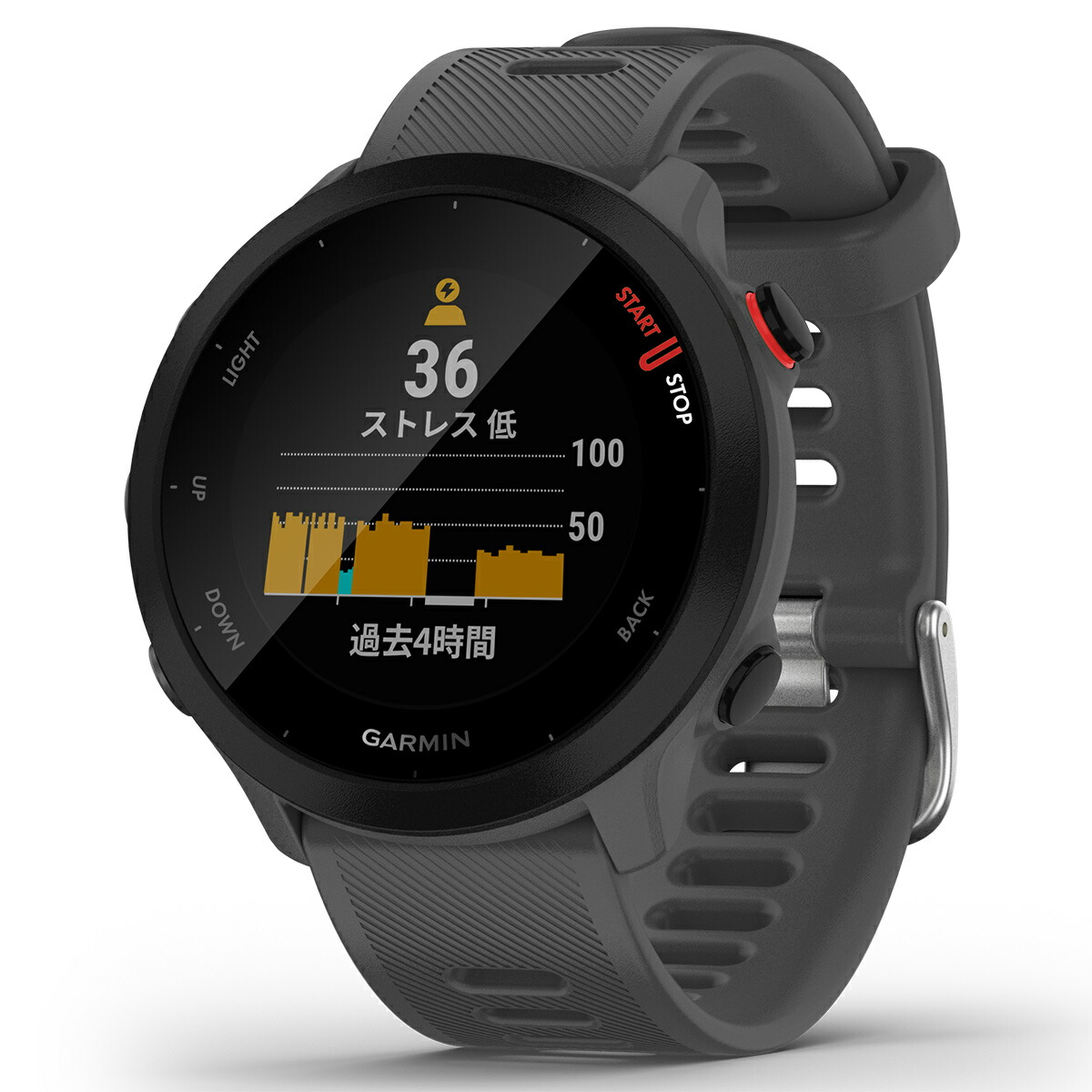 ガーミン GARMIN ForeAthlete 55 フォアアスリート55 GPS スマート