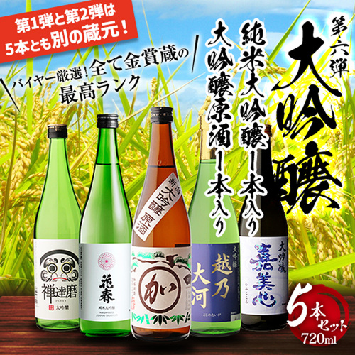 日本酒 飲み比べ 大吟醸原酒入り 大吟醸 720ml 5本 ギフト セット 50