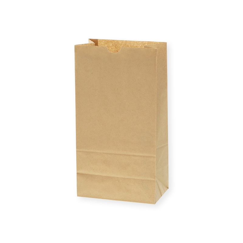 パックタケヤマ 角底袋 ハイバッグ H200 XZT00398 未晒無地 100枚/袋