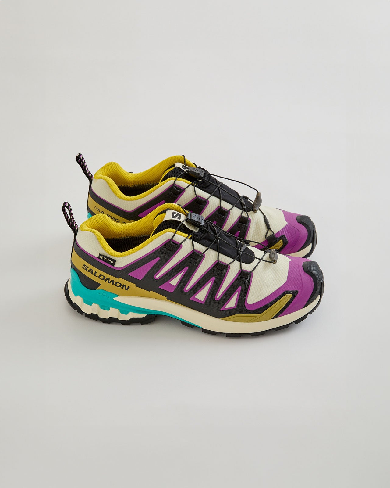 Shinzone（シンゾーン）】SALOMON（サロモン） XA PRO 3D V9 GTX W