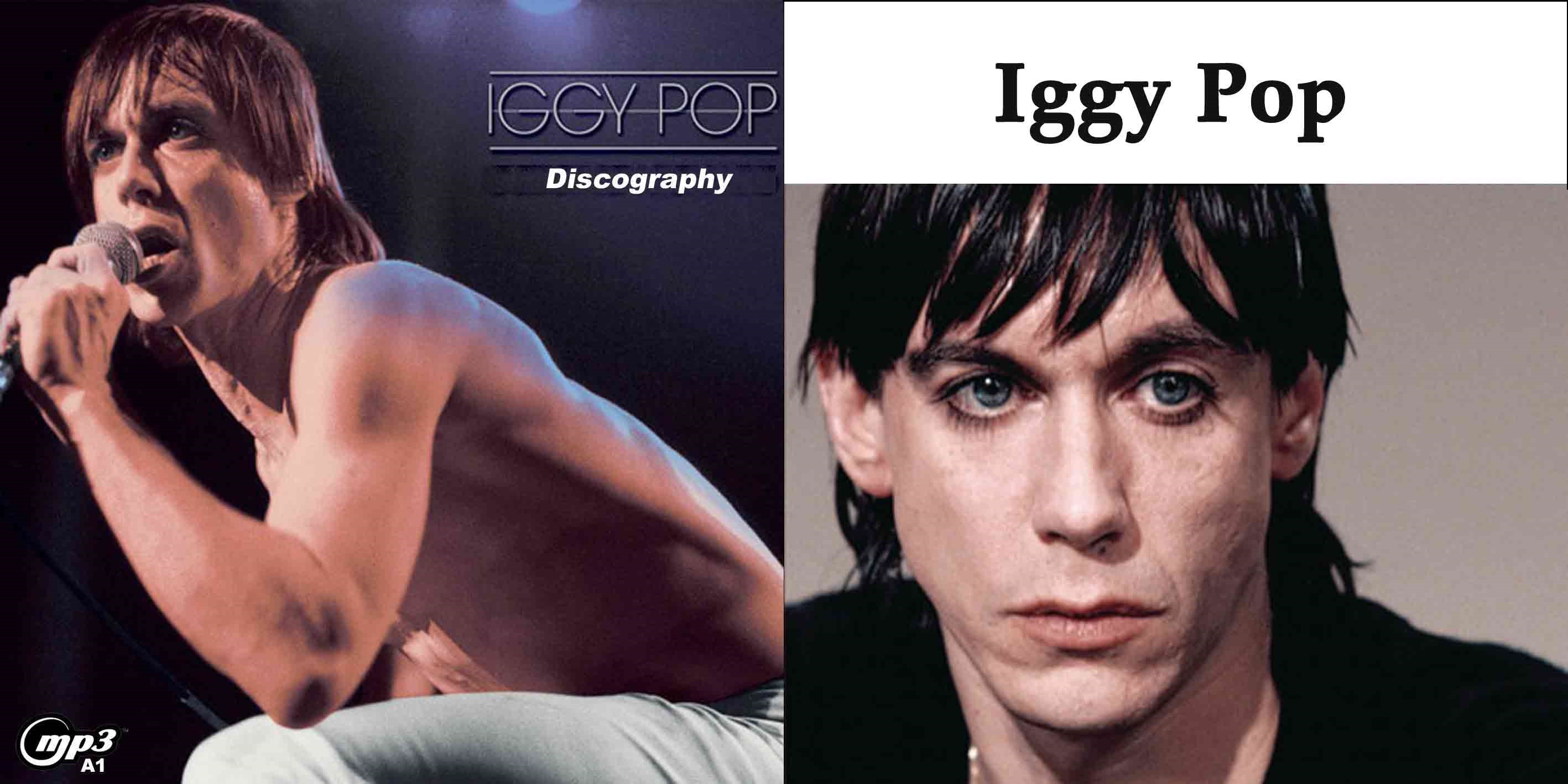 A1□イギー・ポップ 2023全ソロアルバム+ベスト Iggy Pop MP3CD
