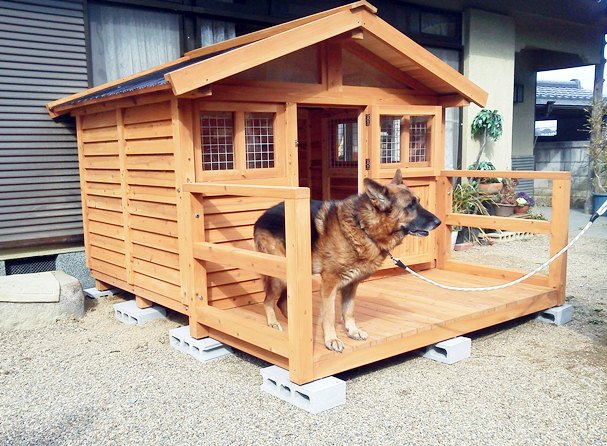 ホーム - 犬小屋製作工房Kの犬小屋ブログ