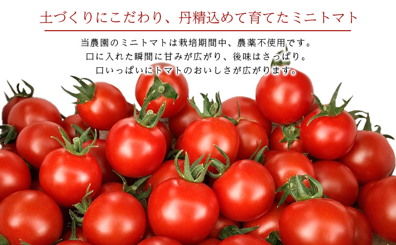 先行受付/2026年産][栽培期間中 農薬・化学肥料不使用] 北海道 仁木町