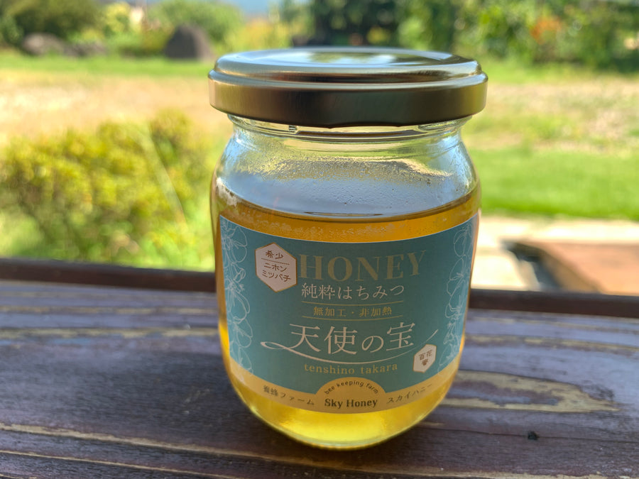日本蜜蜂の天然ハチミツ 無添加 内容量500g × 6本 日本蜜蜂の天然