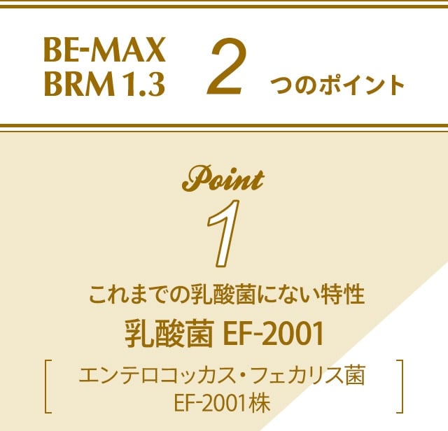 BE-MAX BRM1.3(ビーマックス ベルム 1.3): LAVA公式オンラインストア