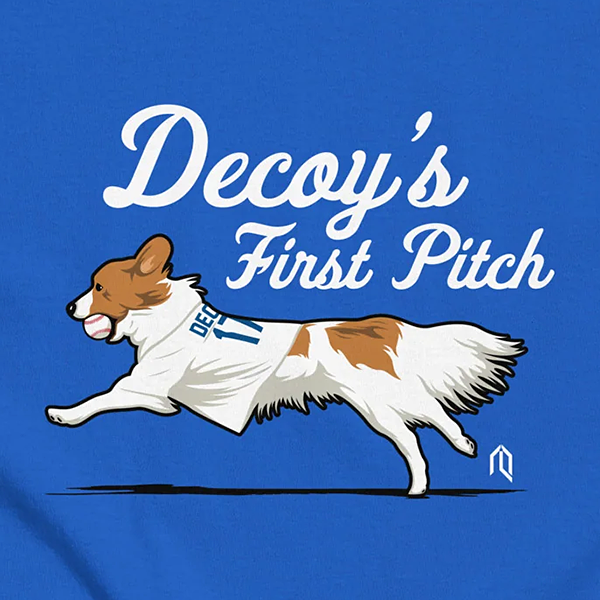Decoy's First Pitch Tシャツ ブルー(S nocolor): 野球｜【公式】J