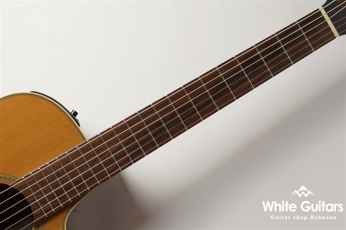 Takamine NPT-110N | White Guitars Online Store