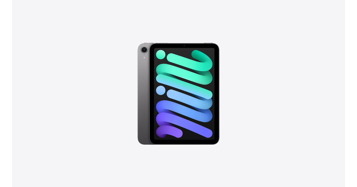 iPad mini Wi‑Fiモデル 128GB - スペースグレイを購入 - ビジネス