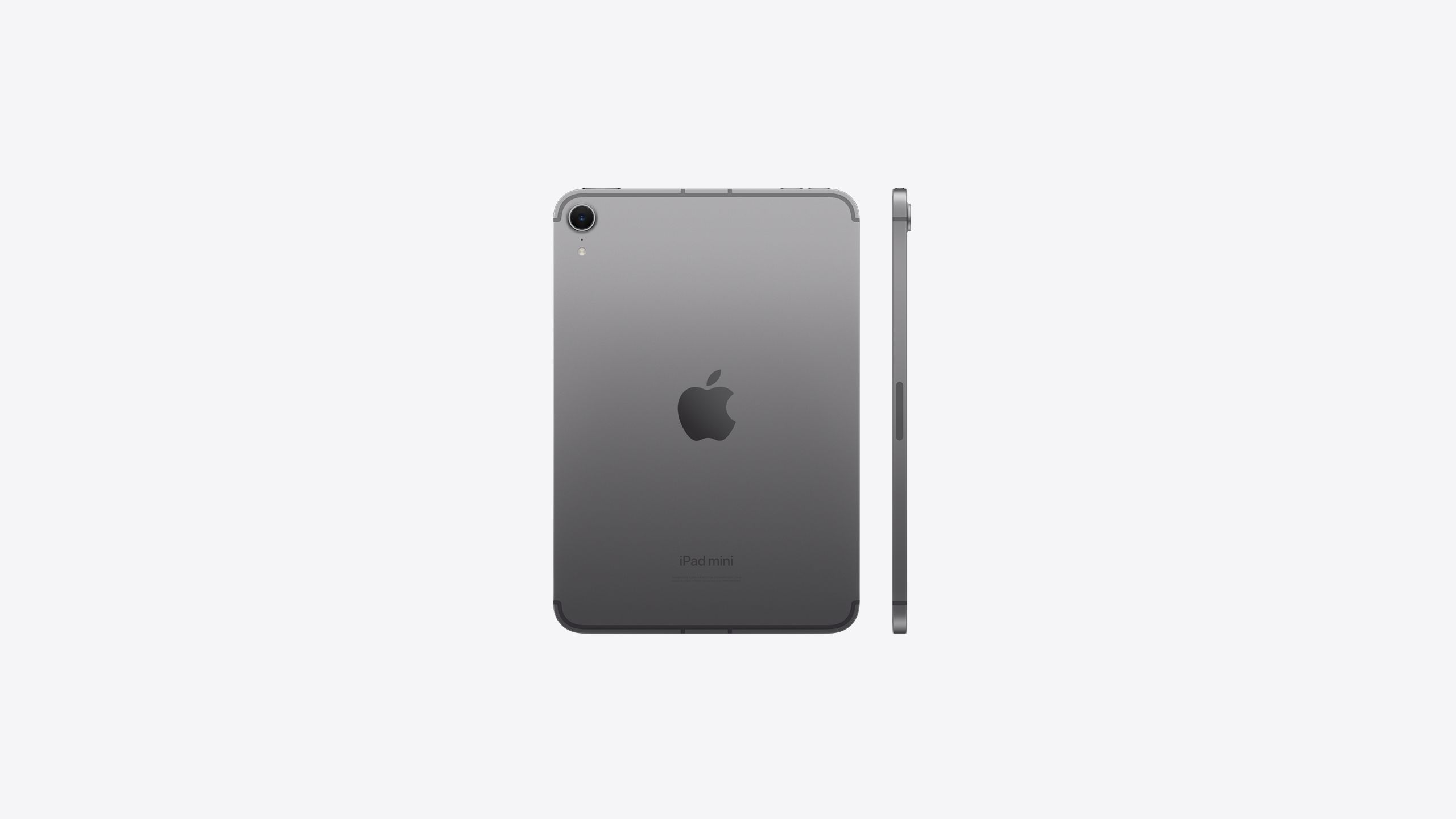 Buy iPad mini Wi‑Fi + Cellular 256GB - Space Gray - Apple