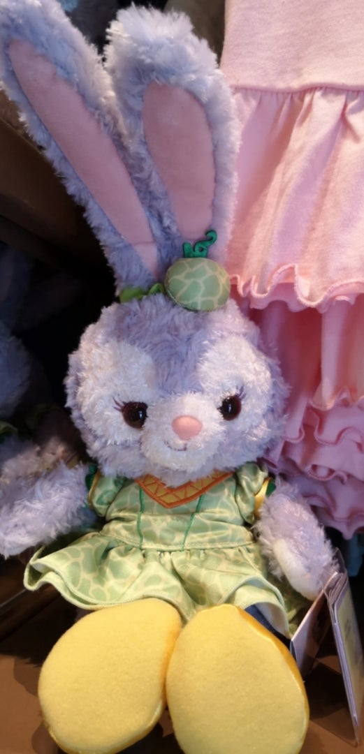香港ディズニーレポその1 ステラルーグッズ編① | ♪わんこプラス