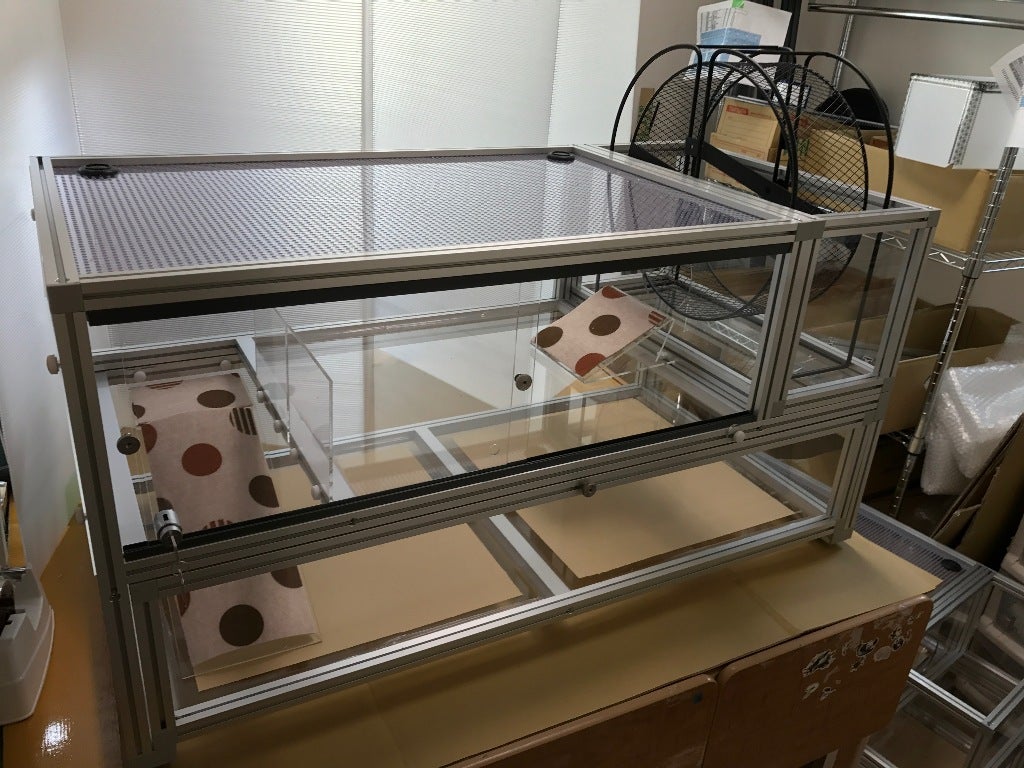 〇紹介 TypeH ハリネズミ専用（2階建てケージ） | AnimalSHOPきなと