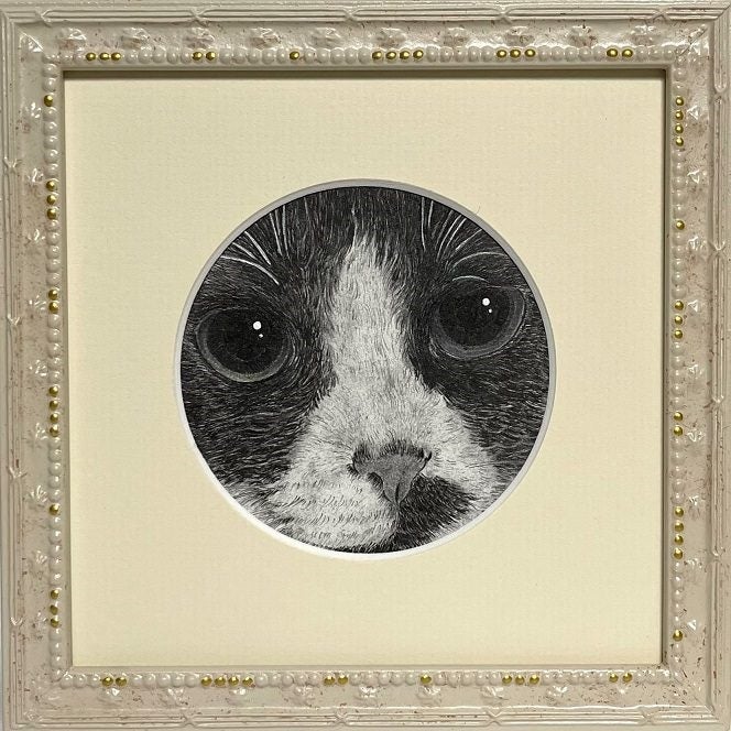 11/29 【今週の猫】 Cat of the Week | 山田貴裕 絵画室 ブログ