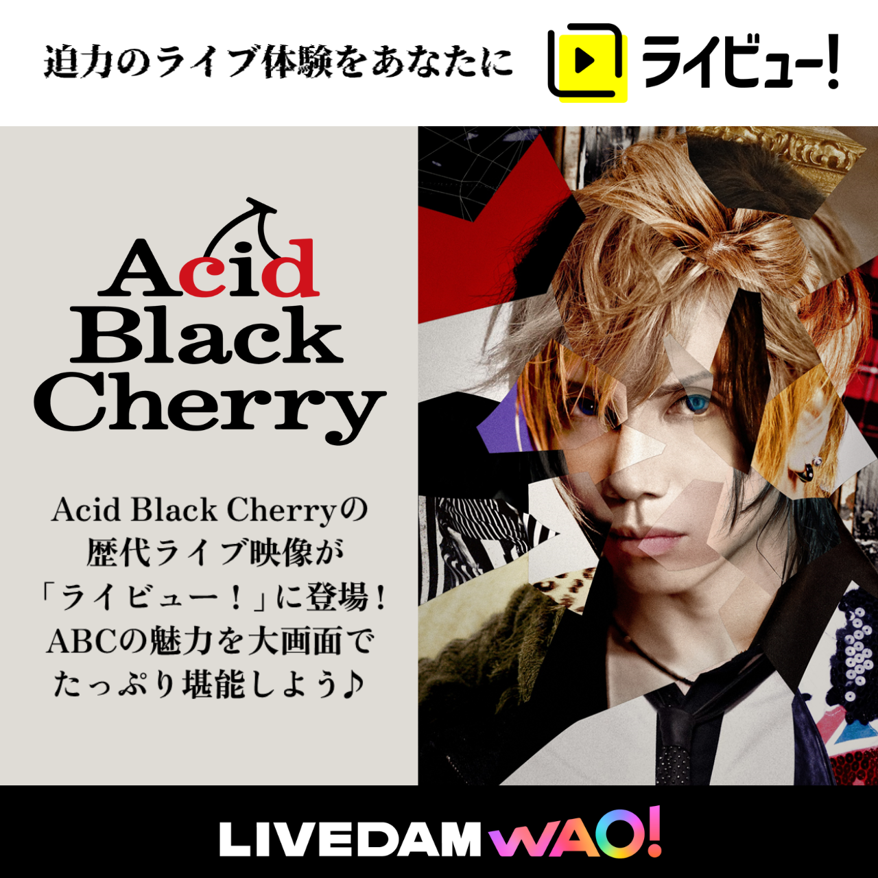 ABCDAMPM | Acid Black Cherryオフィシャルブログ Powered by Ameba