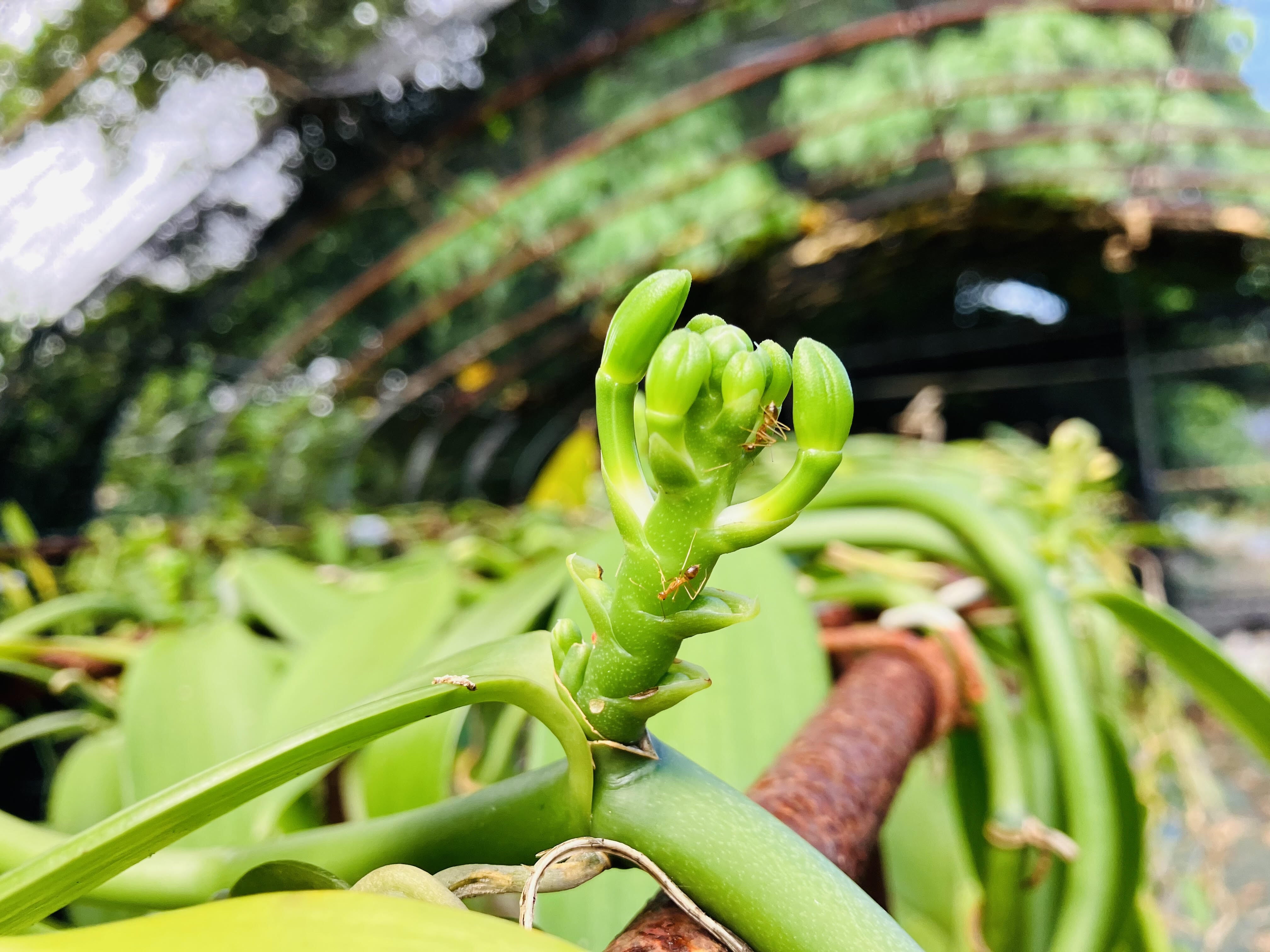 unnamed.jpg?ixlib=rails-2.1.4&