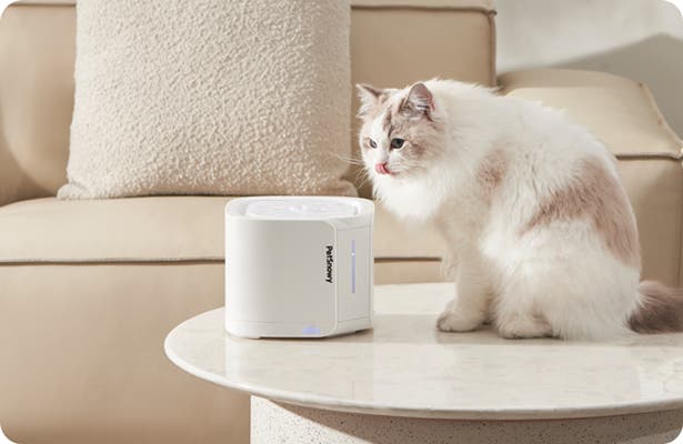 JSFとのコラボによる新色、ニオイを徹底的に遮断！PetSnowy全自動猫