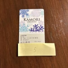 25-26シーズン ルスツリゾート スキー場リフト券 大人専用 5時間