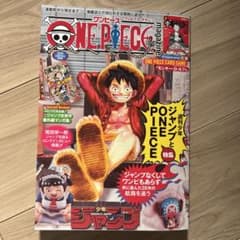 ワンピースマガジン 20号付録 モンキー・D・ルフィ - メルカリ