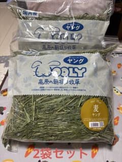 ウーリー 麦ヤング2025 高原の朝採り牧草 450g 2袋 - メルカリ