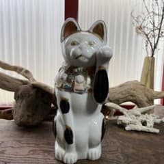 m47950298648_1.jpg?1688445359