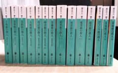 m49137867439_1.jpg?1711982182