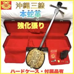 三線 沖縄 強化張り 本革 蛇革 ハードケース 付属品 和楽器 初心者