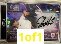 m68113798612_1.jpg?1718795326