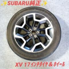 m75701953585_1.jpg?1734359082