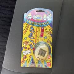 m80097817754_1.jpg?1735274782