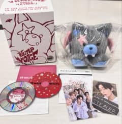 ENHYPEN THE SIN:VANISH ボイスキーリング ソヌ - メルカリ