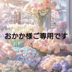 フォーシスアンドカンパニー c70/58/64 ブライダルインナー - メルカリ