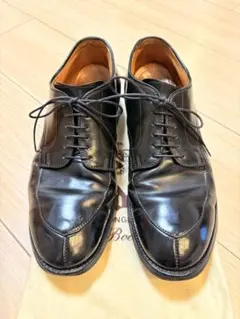2026年最新】alden Vチップ コードバンの人気アイテム - メルカリ