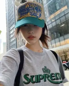 2026年最新】ヘリン着用 supremeの人気アイテム - メルカリ