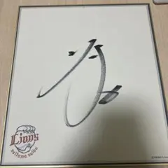 2026年最新】源田壮亮 サインの人気アイテム - メルカリ