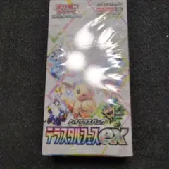 2026年最新】テラスタルフェスex1BOXの人気アイテム - メルカリ