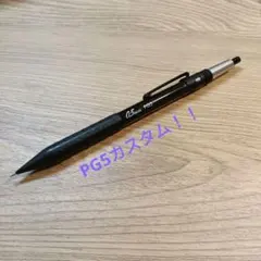 2026年最新】pg5 カスタムの人気アイテム - メルカリ