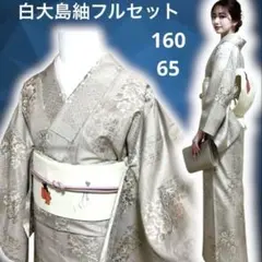 2026年最新】大島紬 訪問着の人気アイテム - メルカリ