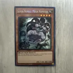 2026年最新】素早いビッグハムスター 英語の人気アイテム - メルカリ