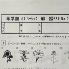 2026年最新】希学園 テストの人気アイテム - メルカリ