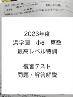 2026年最新】浜学園 小6 最高レベル特訓 テキストの人気アイテム
