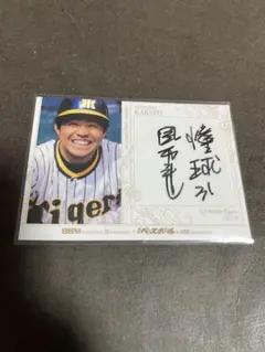 2026年最新】掛布雅之サインの人気アイテム - メルカリ