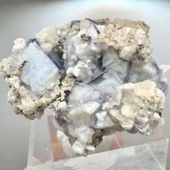 2026年最新】ポーセリン フローライトの人気アイテム - メルカリ