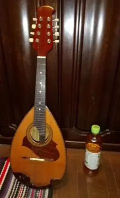 2026年最新】suzuki マンドリン 215の人気アイテム - メルカリ