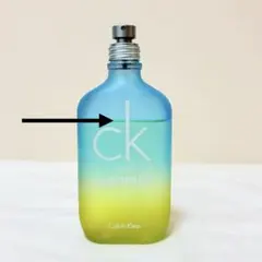 2026年最新】シーケーワンサマーの人気アイテム - メルカリ