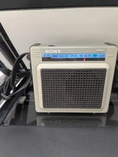 2026年最新】SONY ICR-S71の人気アイテム - メルカリ